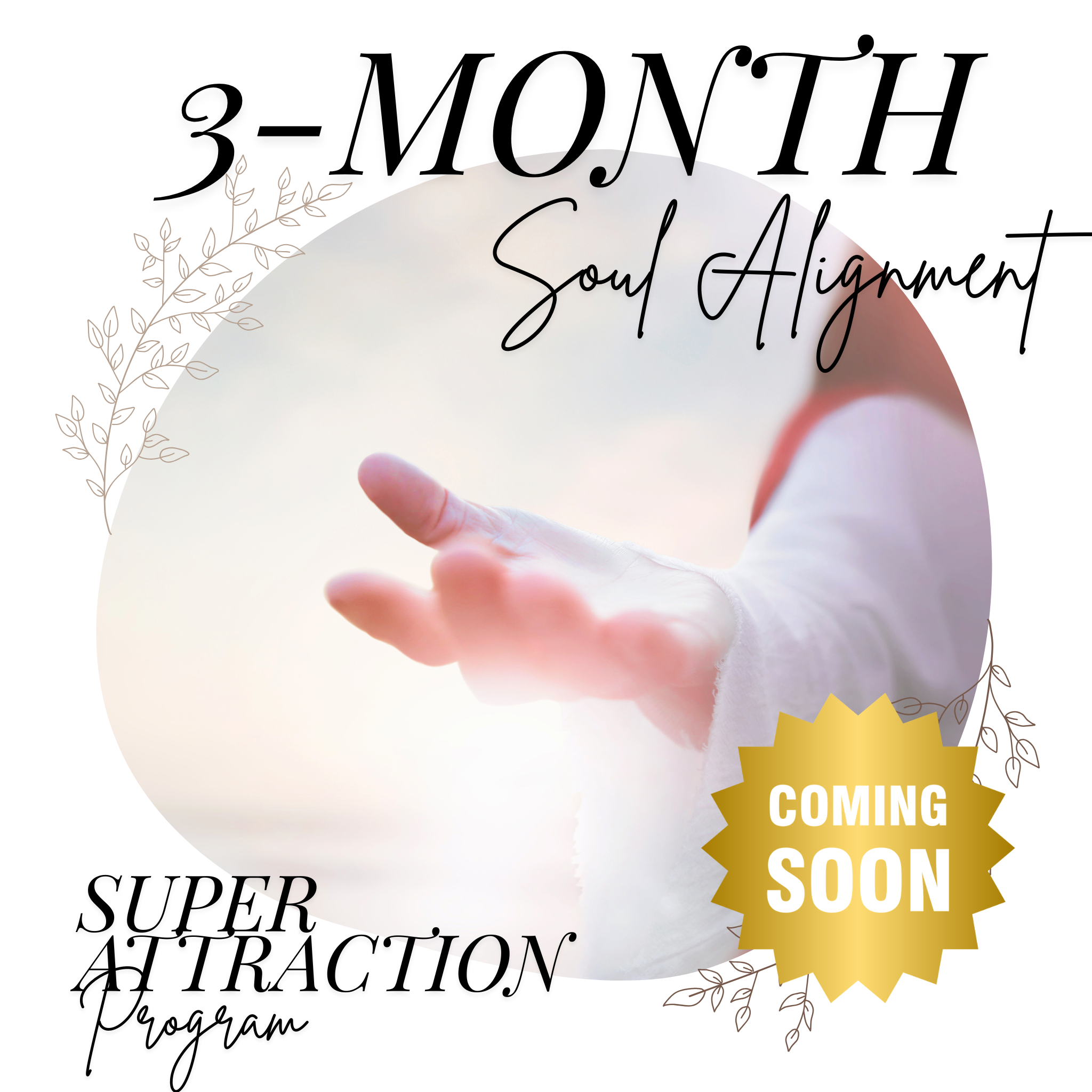 3-Month Soul Alignment Program