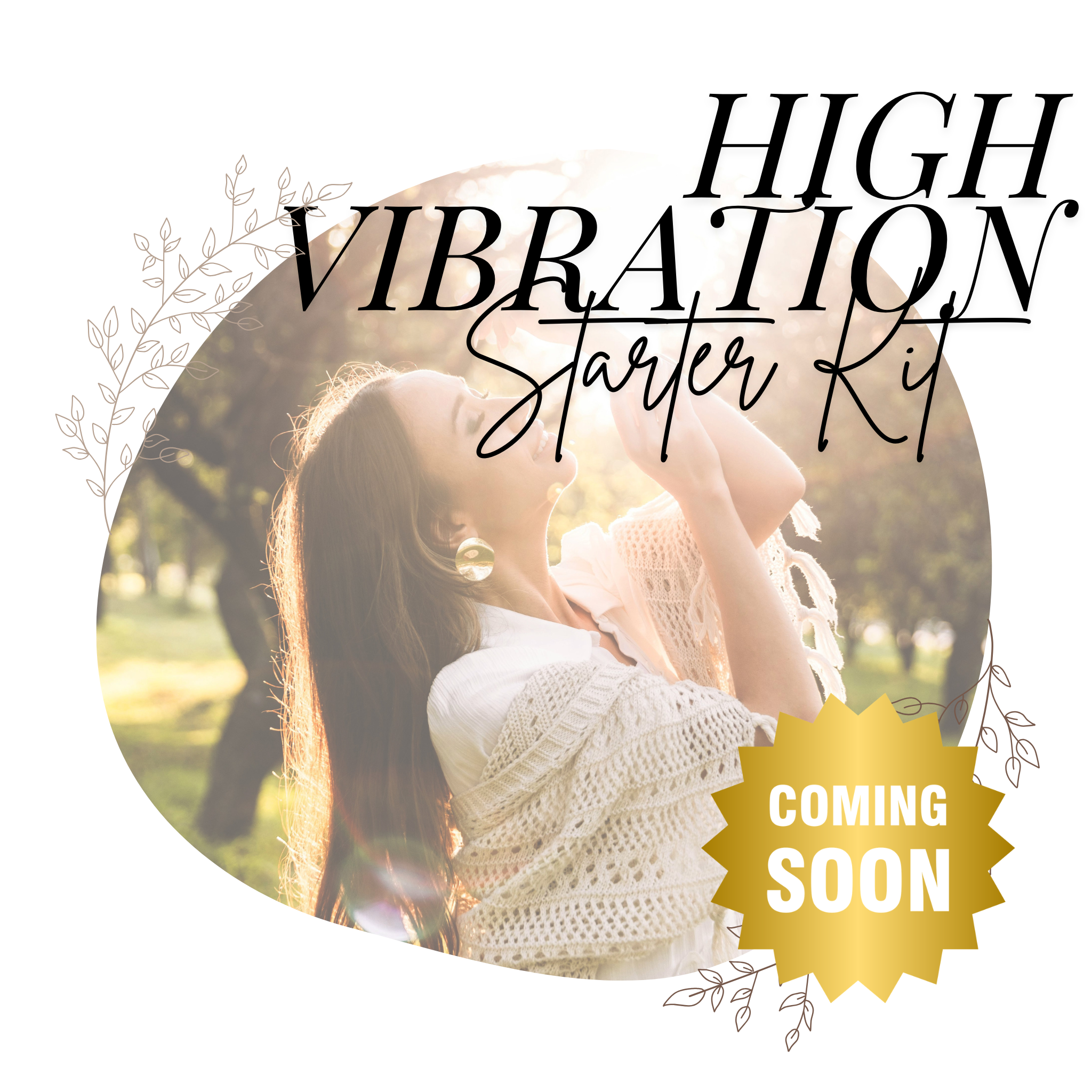 High Vibration Starter Kit Guide